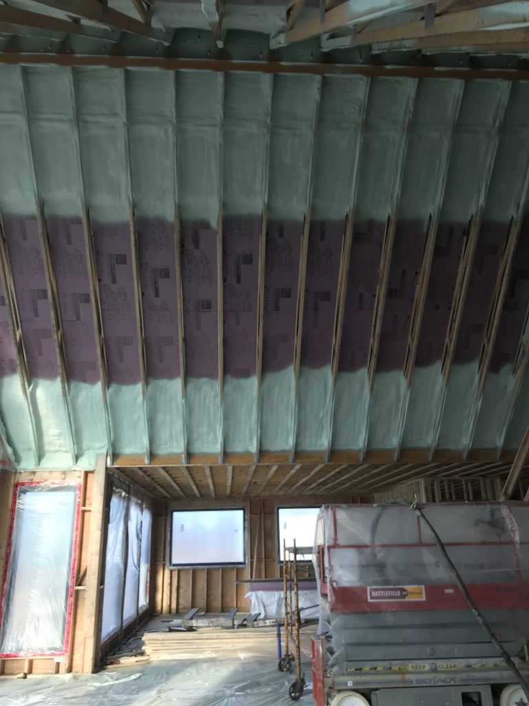 Vaulted Ceiling New Construction D